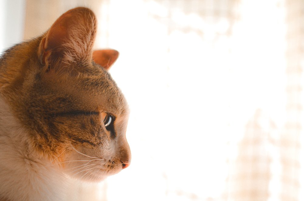 Photograph by Ron Trejo