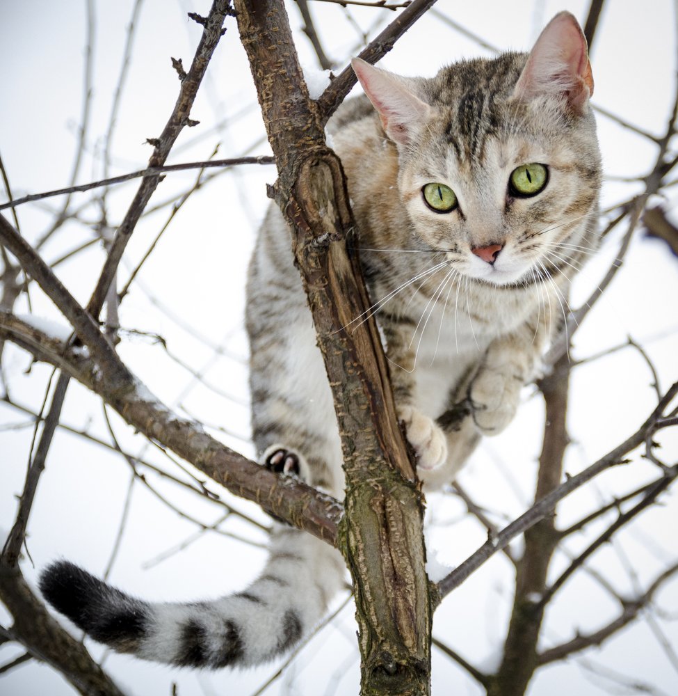 Photograph by  Svetlana