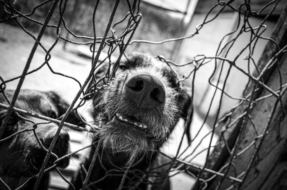 Photograph by Ron Trejo