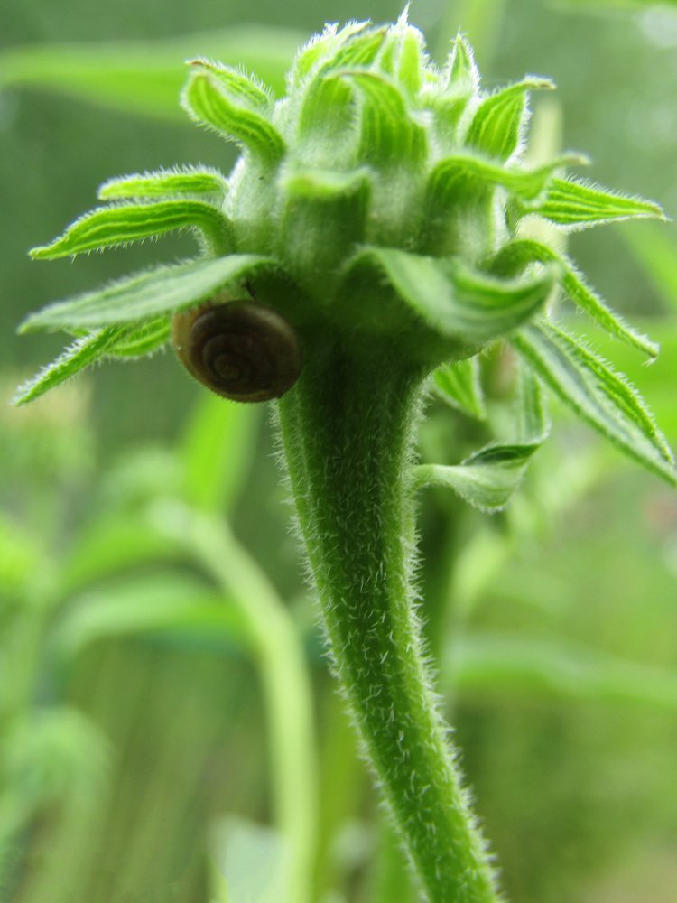 Photograph by Наталина Князева