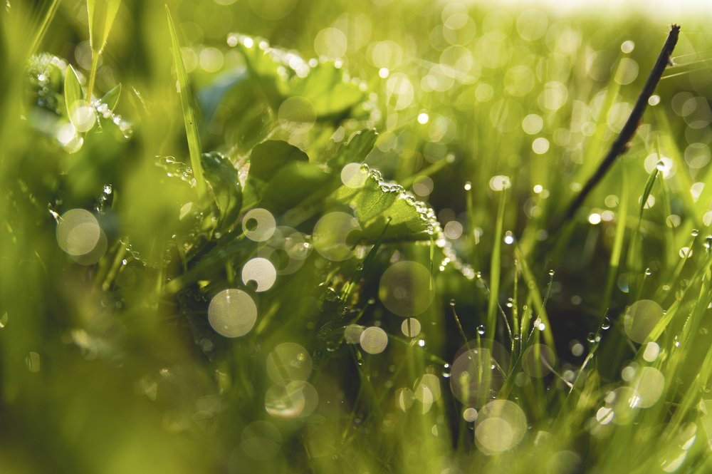 Photograph by  Svetlana