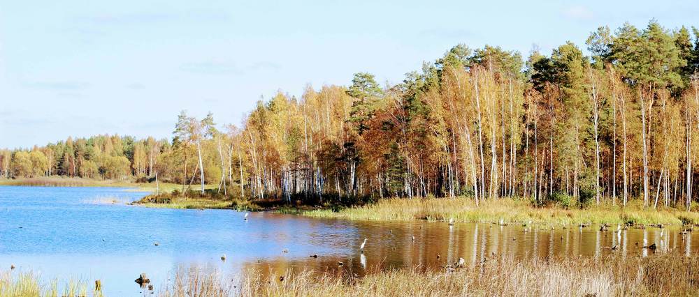 Photograph by Леся Дмітрук