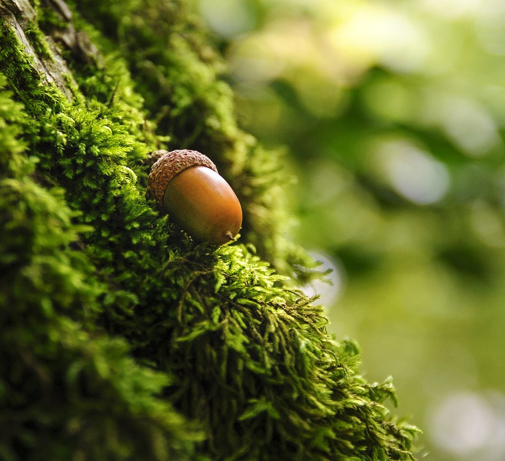 Photograph by  Svetlana