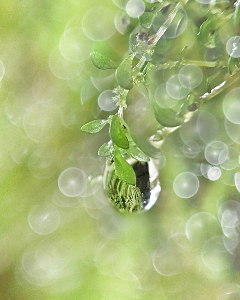 Photograph by Iin Fortunata Angelina