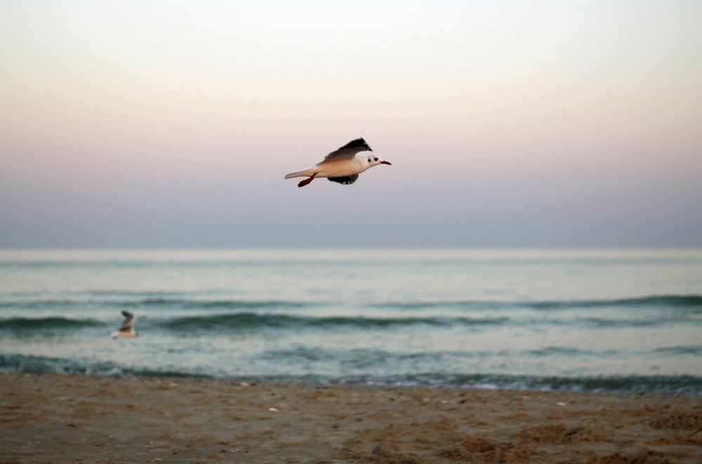 Photograph by Виктория Бурова