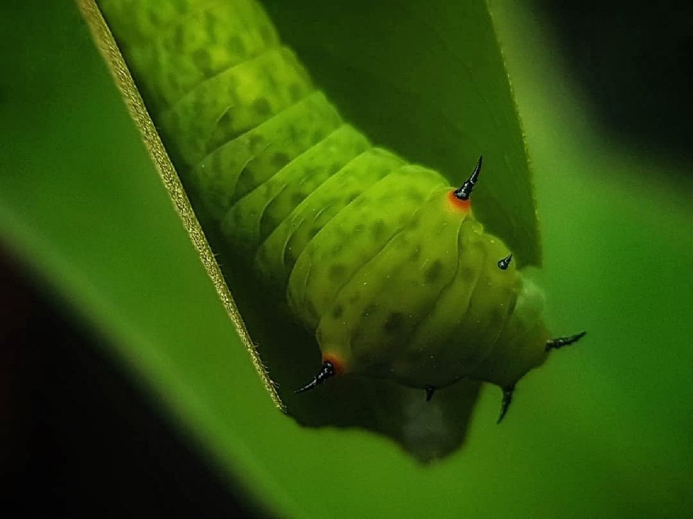 Photograph by Iin Fortunata Angelina