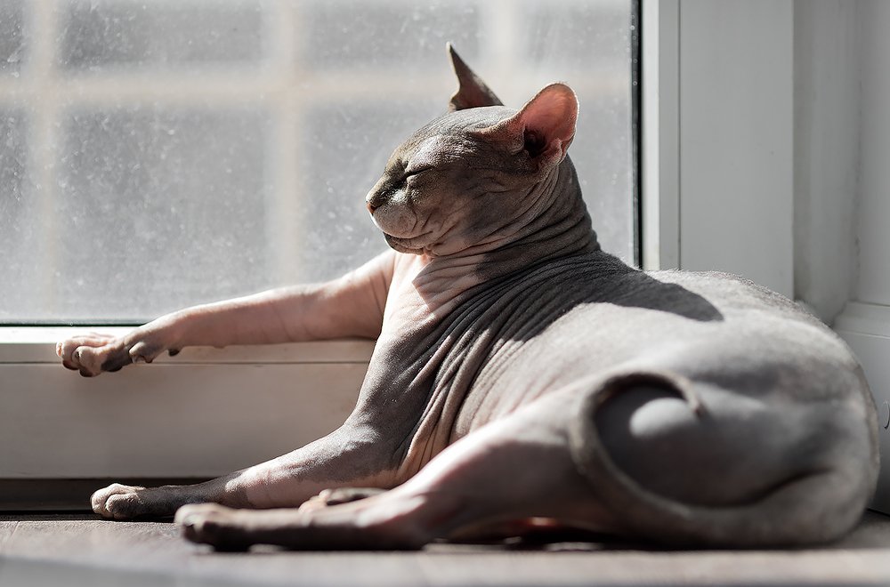 Photograph by Yuri Vakhnenko