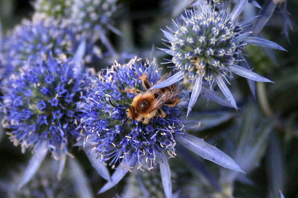 Photograph by Yroslava Veretina