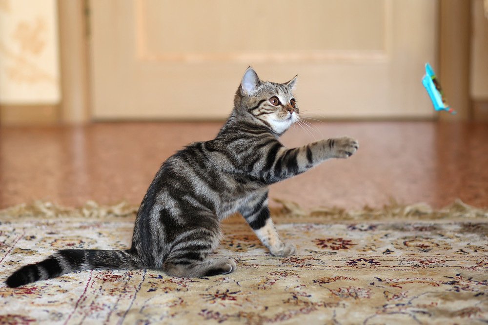 Photograph by Sokolova Tatiana