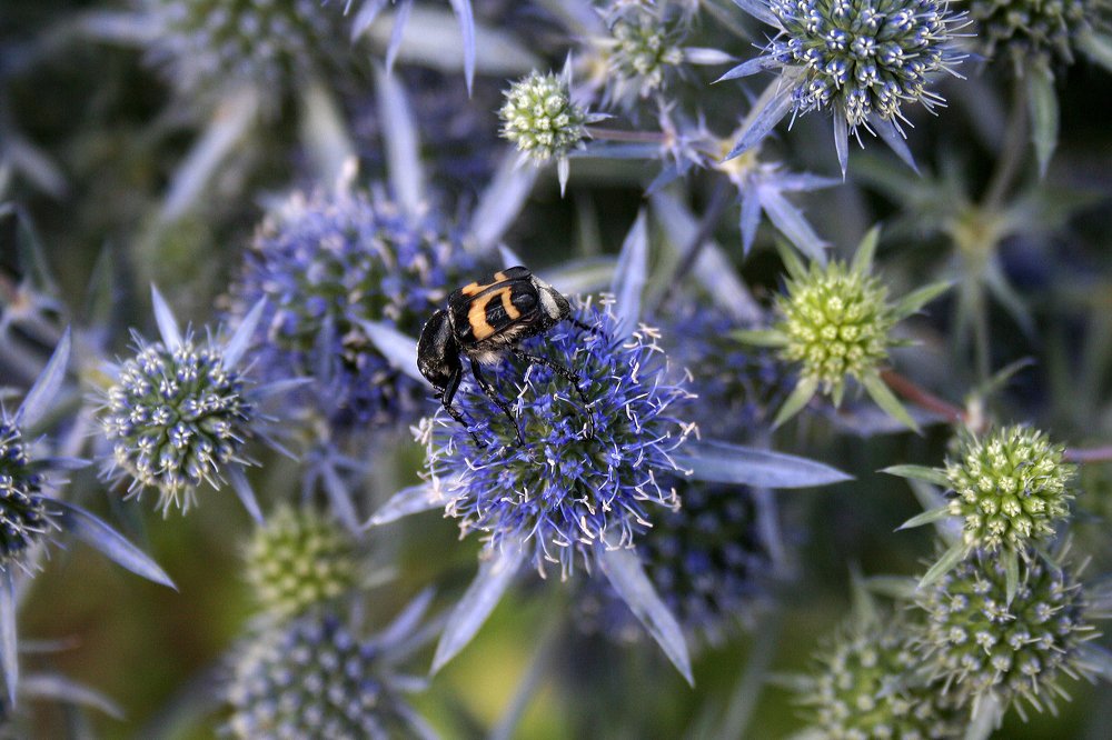 Photograph by Yroslava Veretina