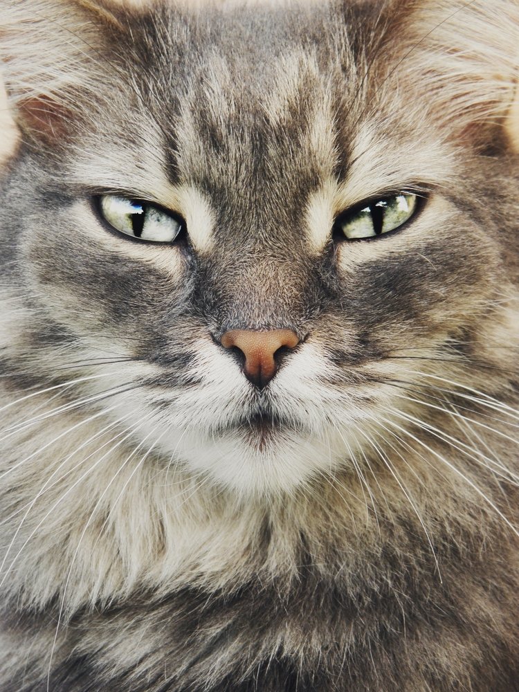 Photograph by Полина