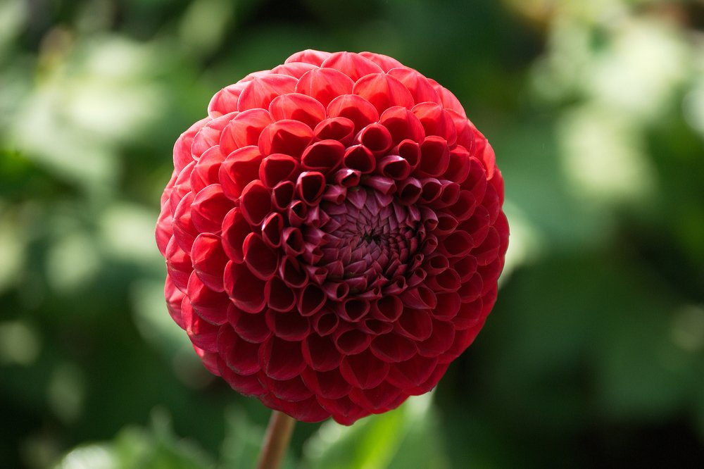 Photograph by Yroslava Veretina