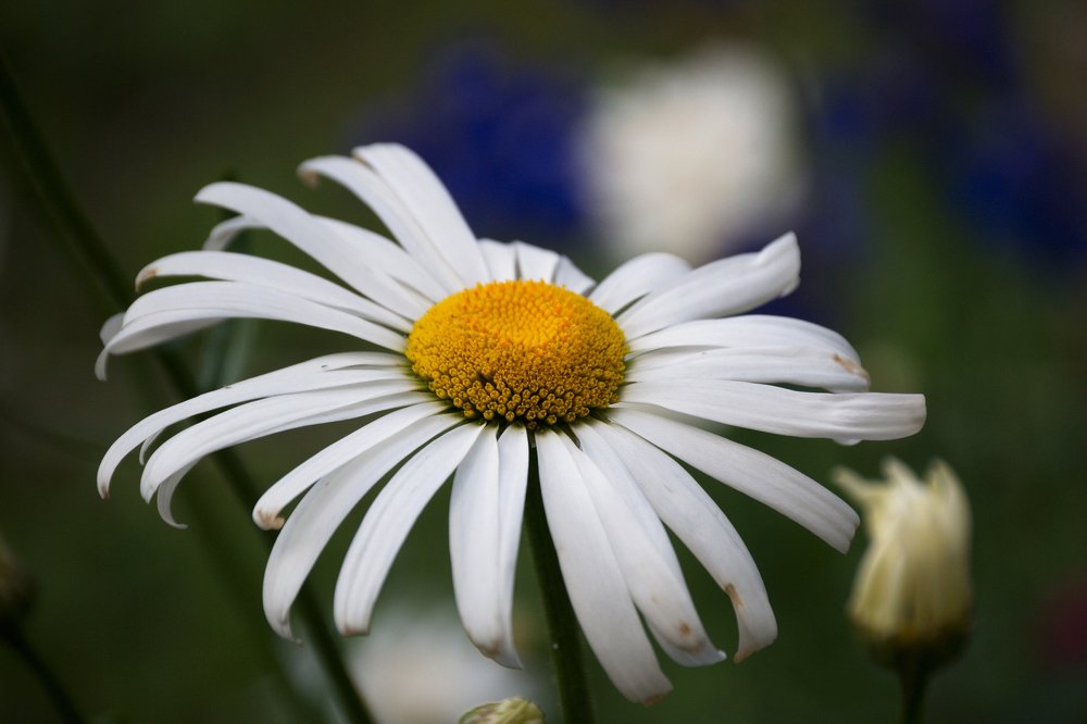 Photograph by Yroslava Veretina