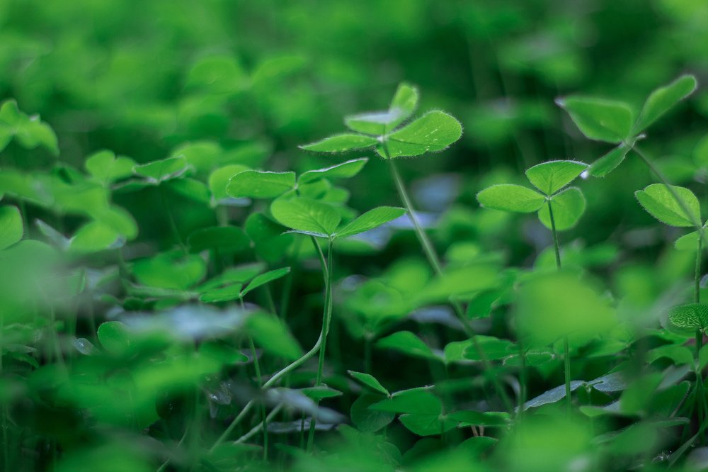 Photograph by Валерия Шарифова