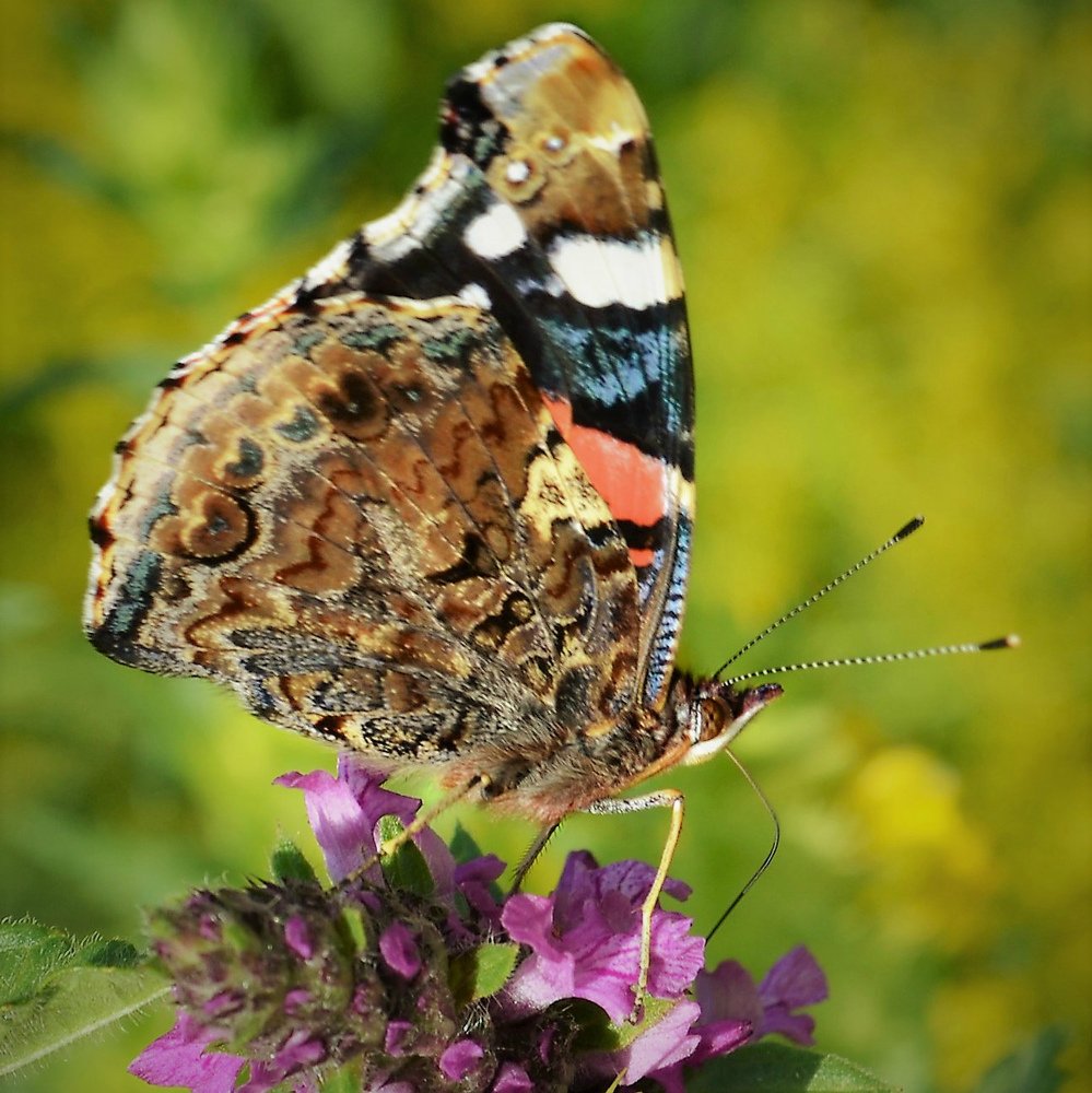 Photograph by Татьяна Рябова