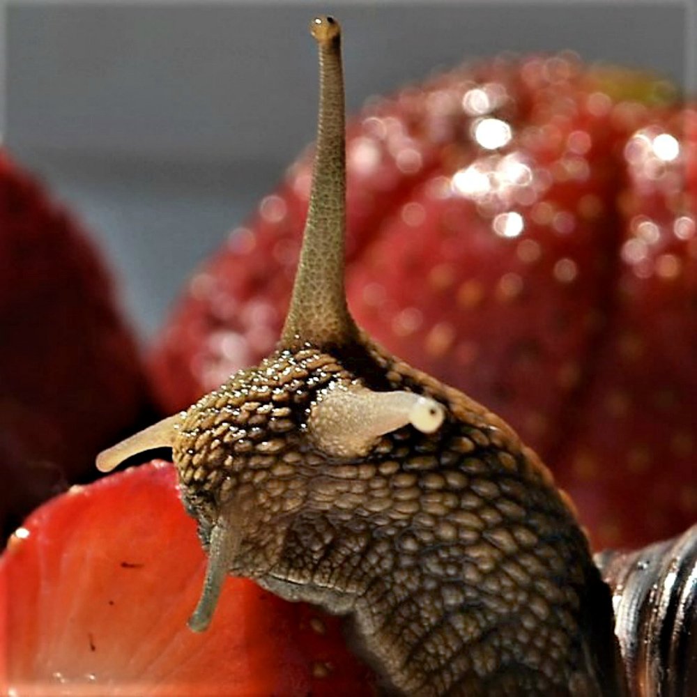 Photograph by Татьяна Рябова