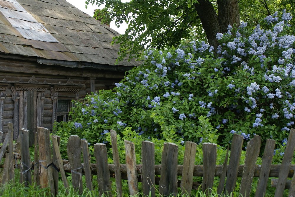 Photograph by Юлия