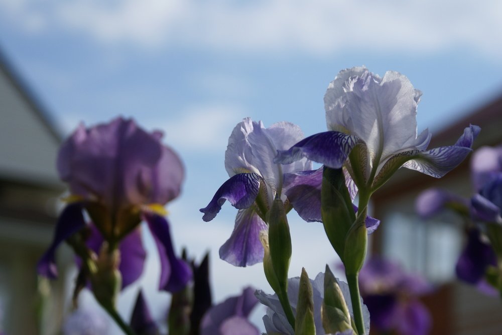 Photograph by Юлия