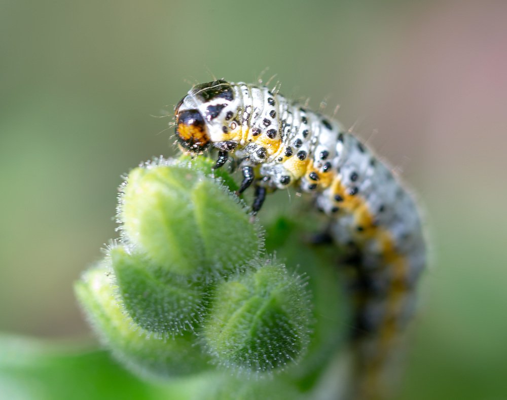 Photograph by Борис Платицин