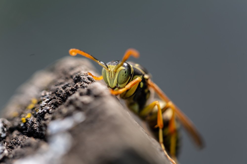 Photograph by Борис Платицин