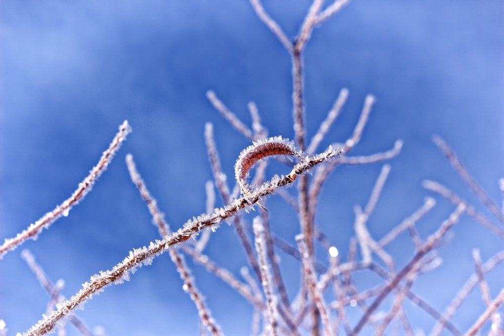 Photograph by Илья Левкович