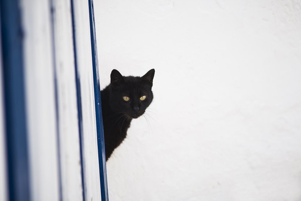 Photograph by MAREVI DENAXA