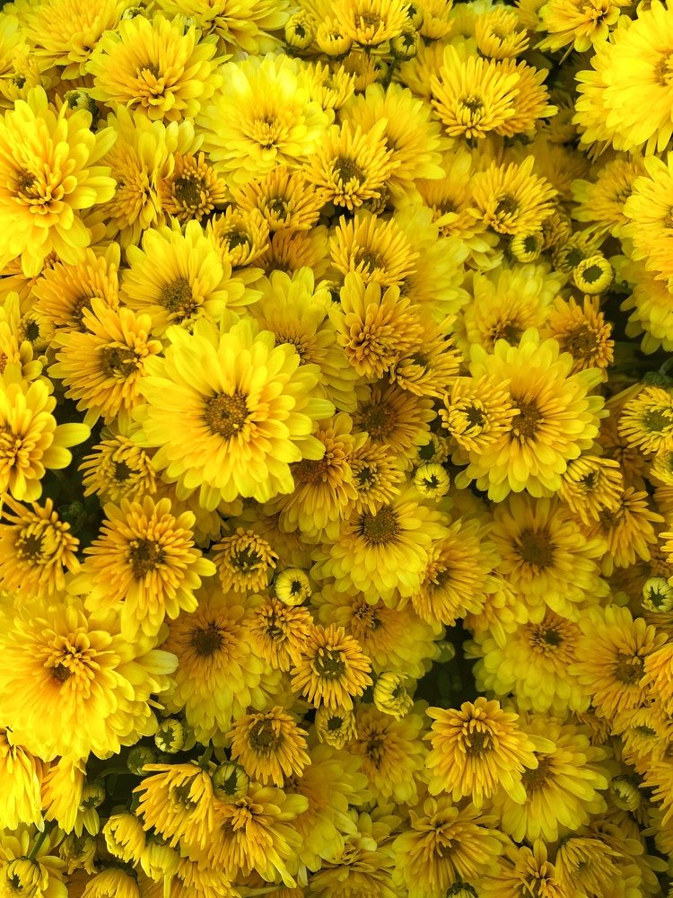 Photograph by Татьяна Лавренюк