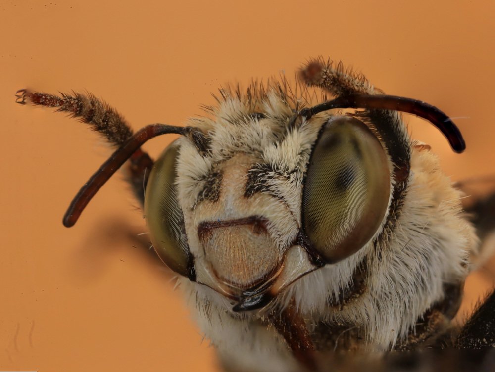 Photograph by Talal Hamooad alHarati