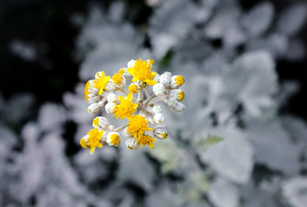 Photograph by Yashika Jain