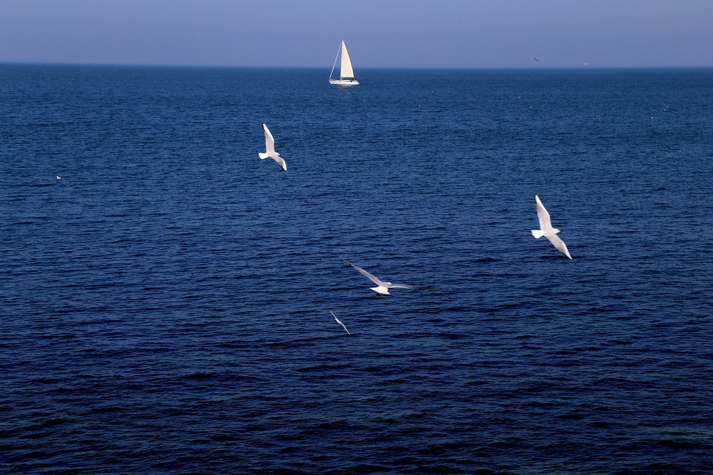 Photograph by Dzintra Zvagina