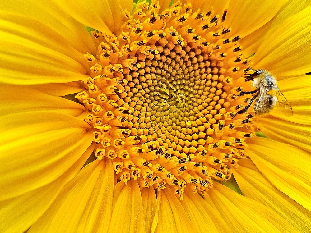 Photograph by Mojca Rebol