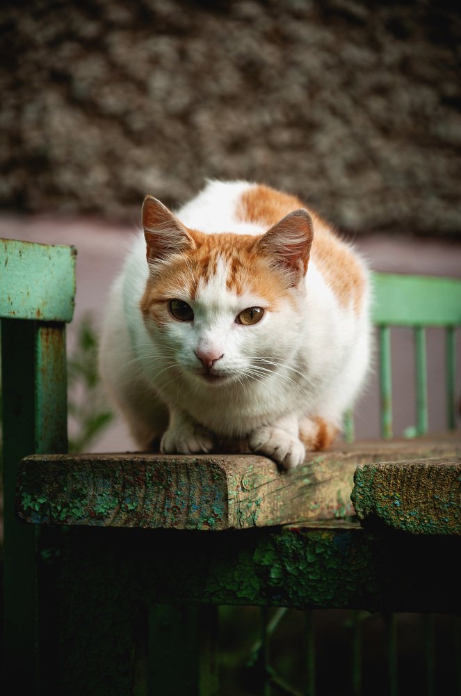 Photograph by Артём Шемякин