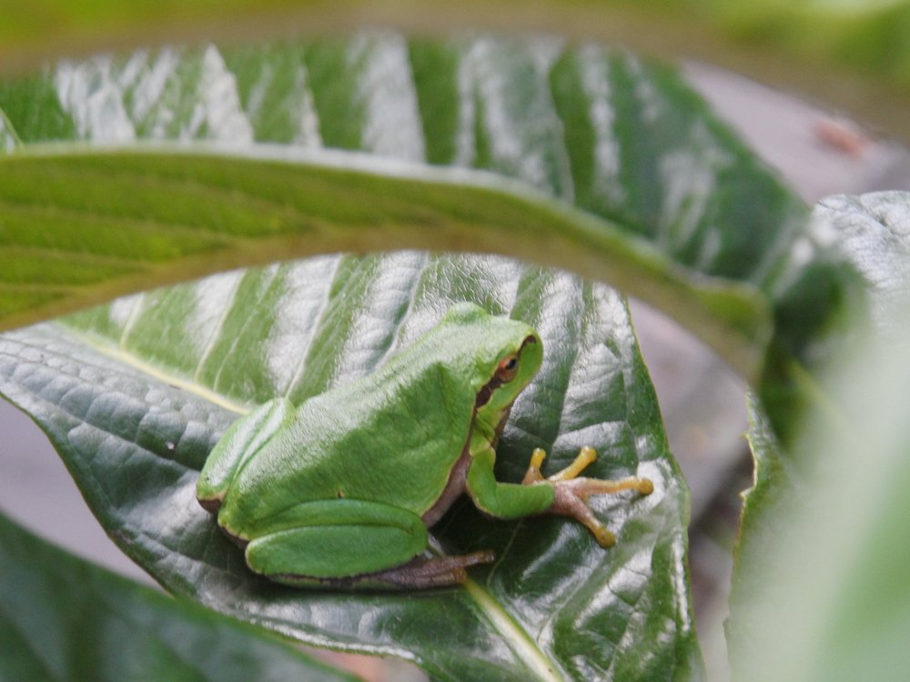 Photograph by Ирина Корнева