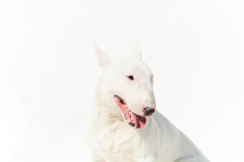 Photograph by Ирина Корх