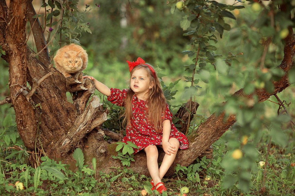 Photograph by Юлия Белякова