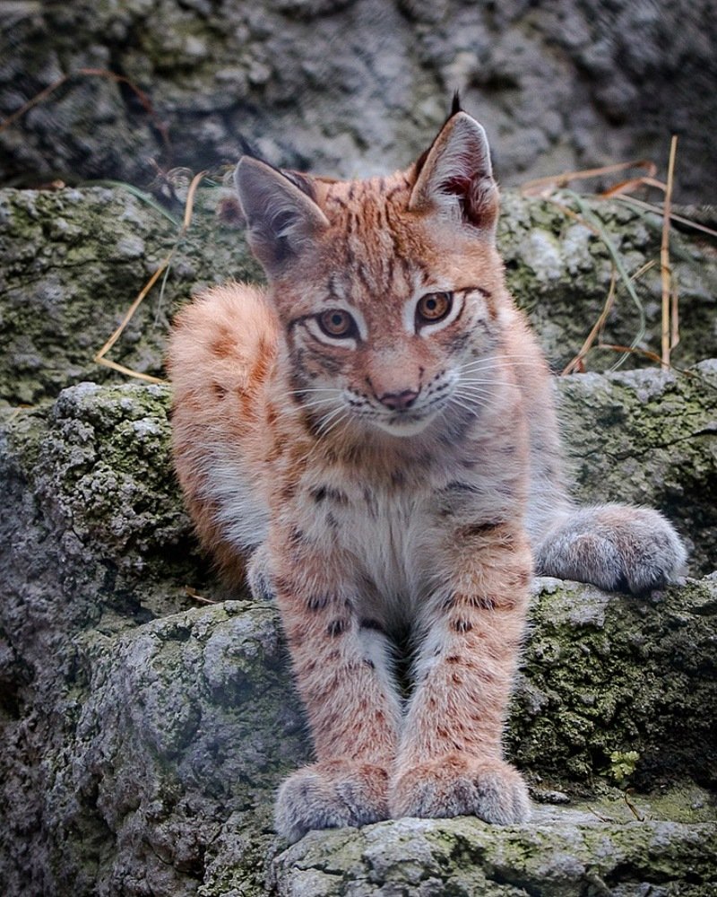 Photograph by Виктор Матаев