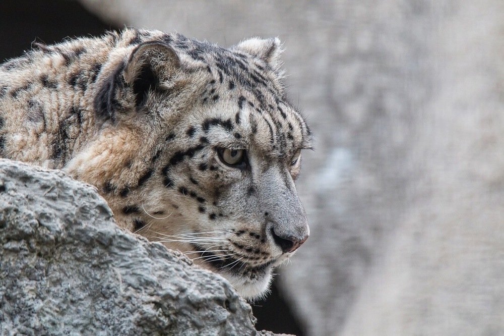 Photograph by Виктор Матаев