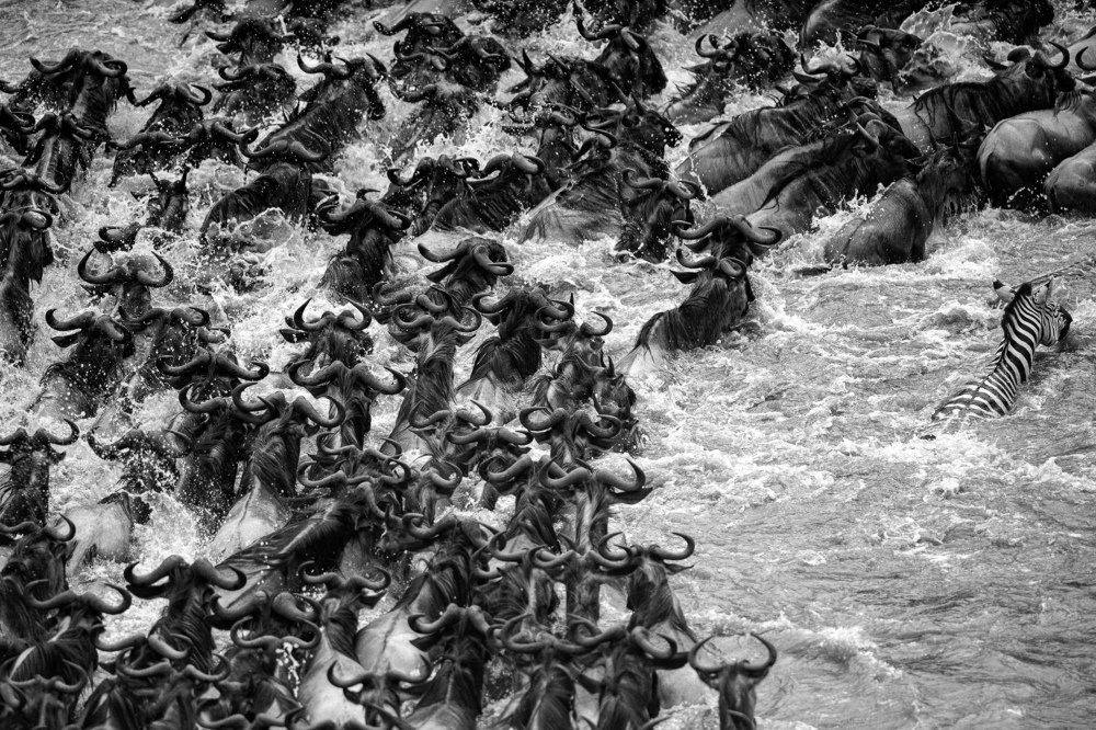 The Great Migration