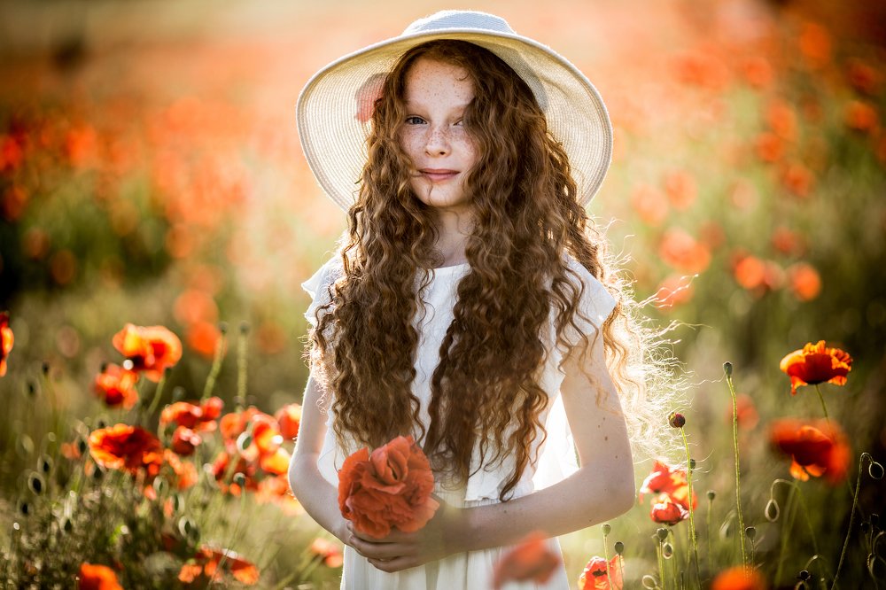 Вечер в маках