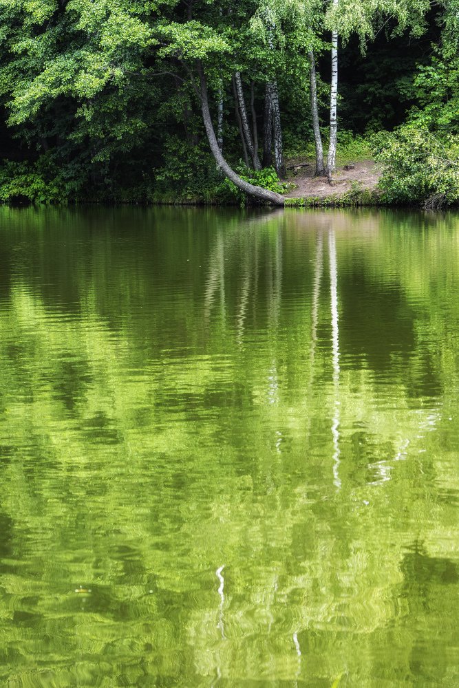 Photograph by Владимир Штыриков