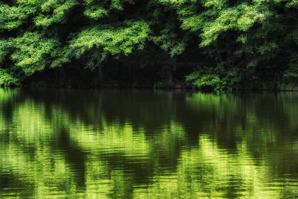 Photograph by Владимир Штыриков