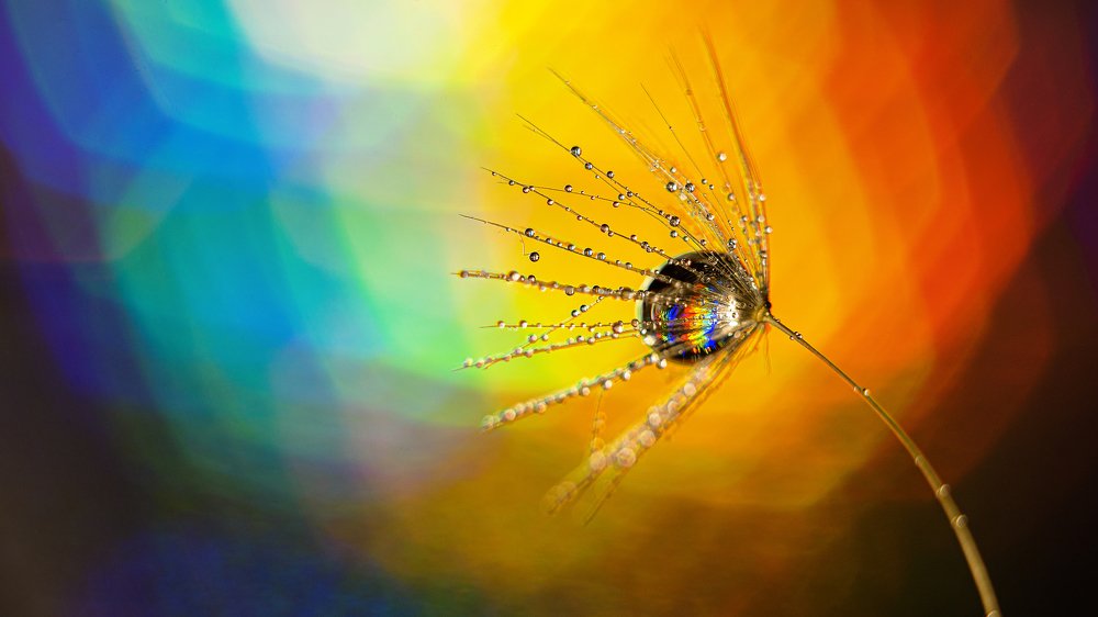 Радужные мечты