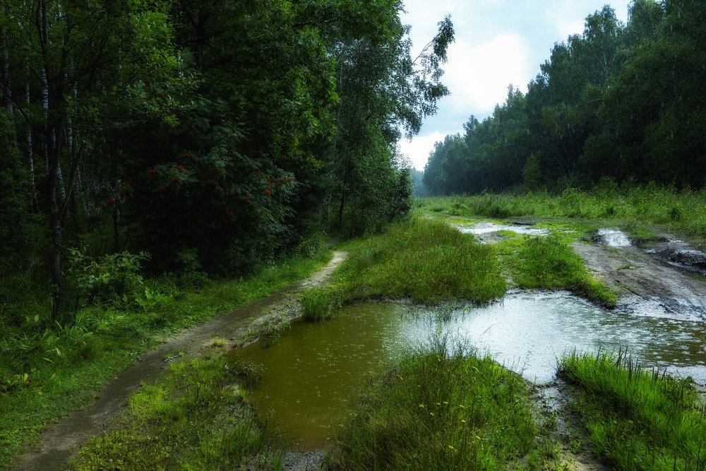 Photograph by Владимир Штыриков