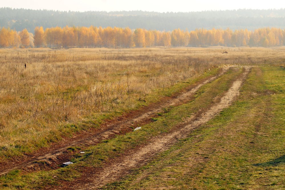 осеннее утро