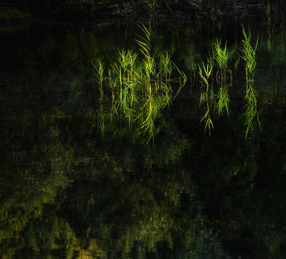 Photograph by Владимир Штыриков