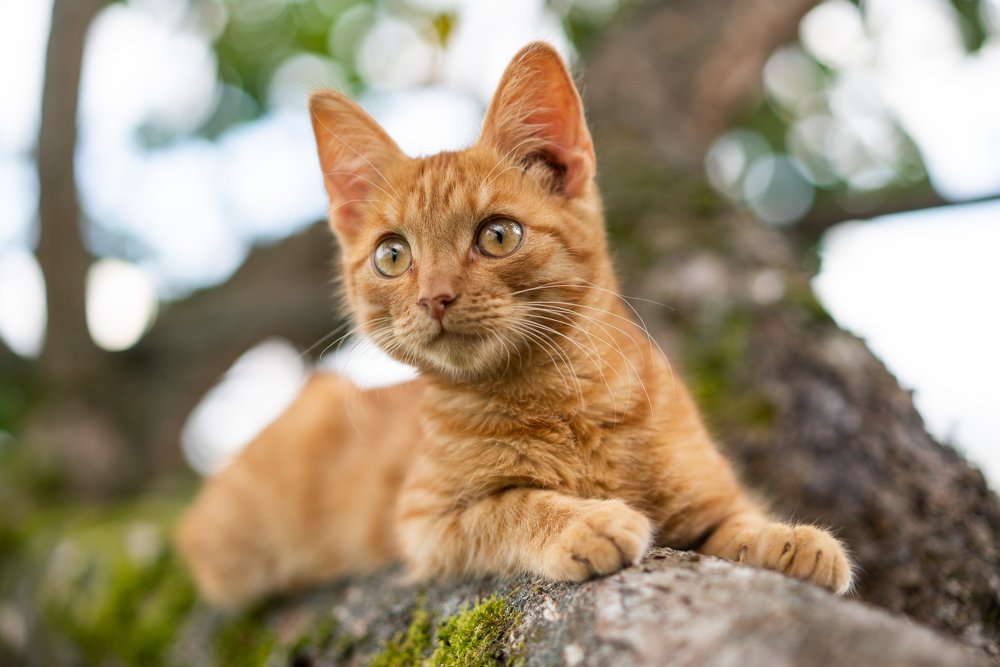 Photograph by Илья Меркулов