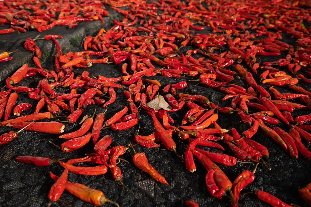 Photograph by Илья Меркулов