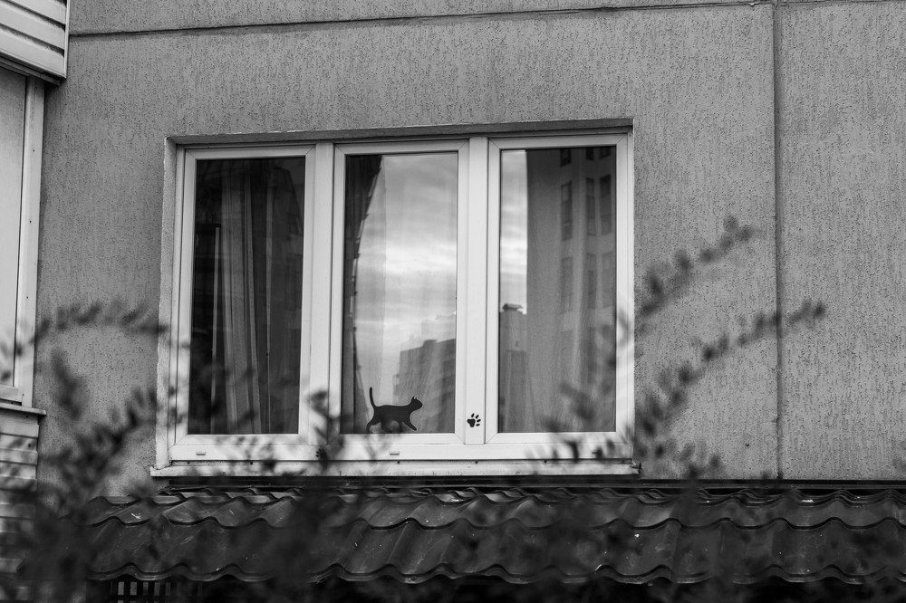 Photograph by Валяева Анастасия