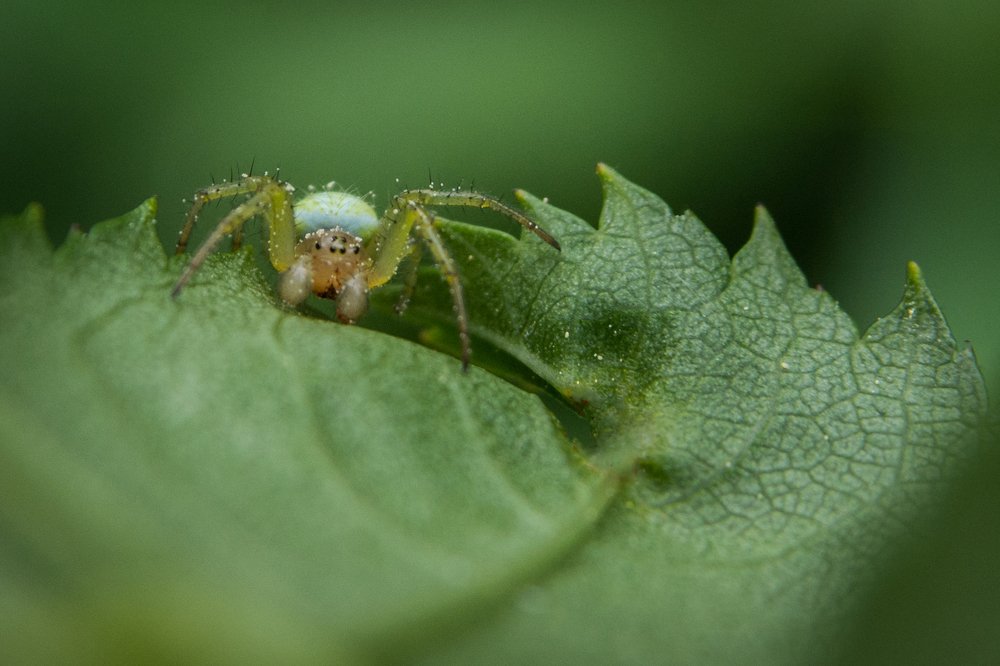 Photograph by Сергей Ослопов