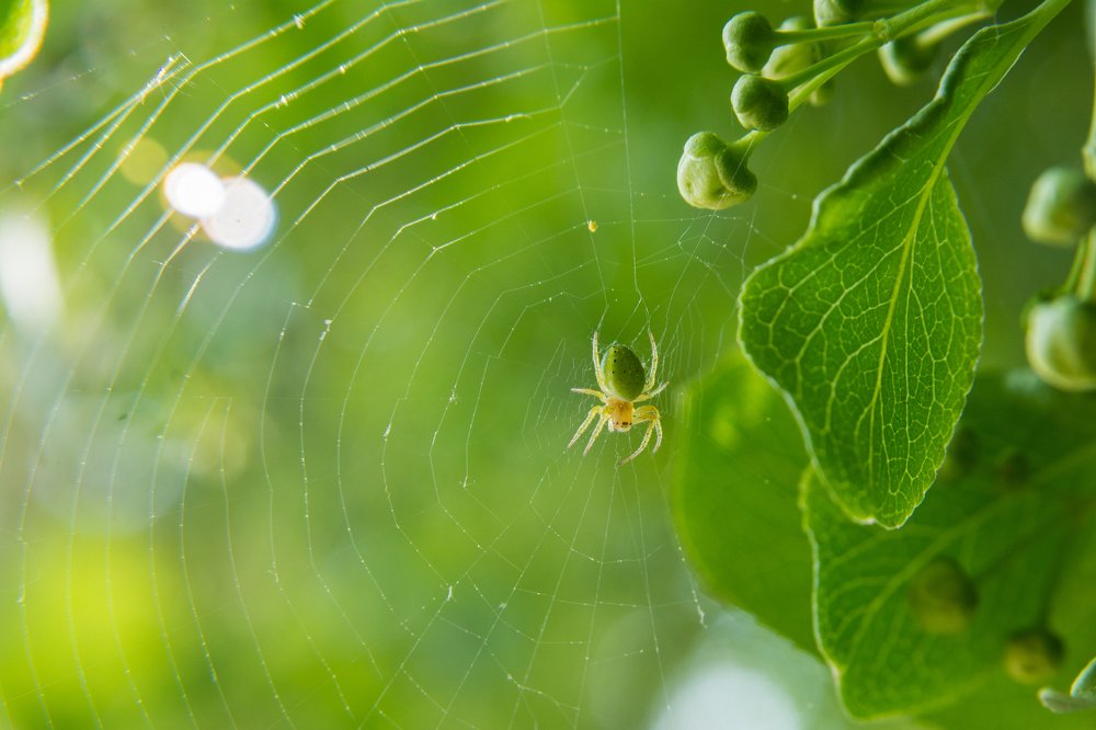 Photograph by Сергей Ослопов